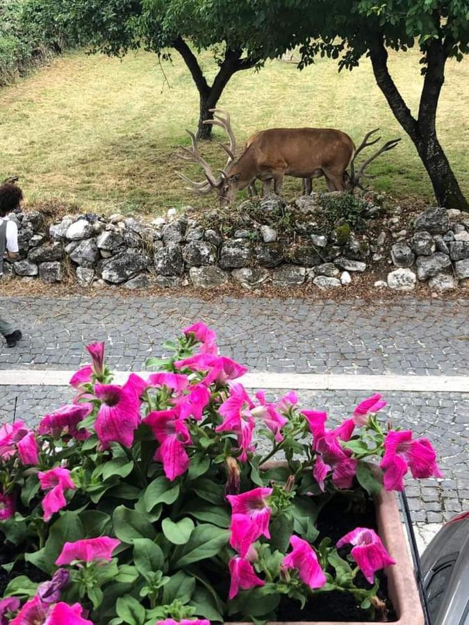 Casa vacanze Daniela Villetta Barrea Esterno foto